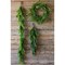 24” Just Cut Norfolk Pine Wreath Fresh & Lush Holiday Decoration